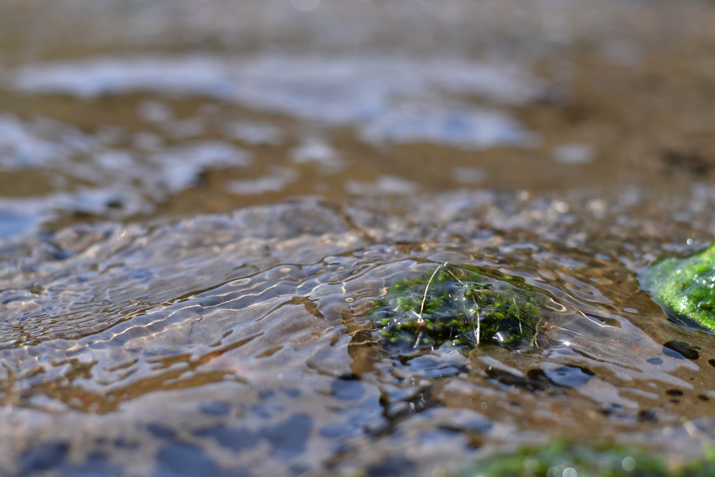 2018-08-04 Nottingham/Peak District/DSC_3564.JPG